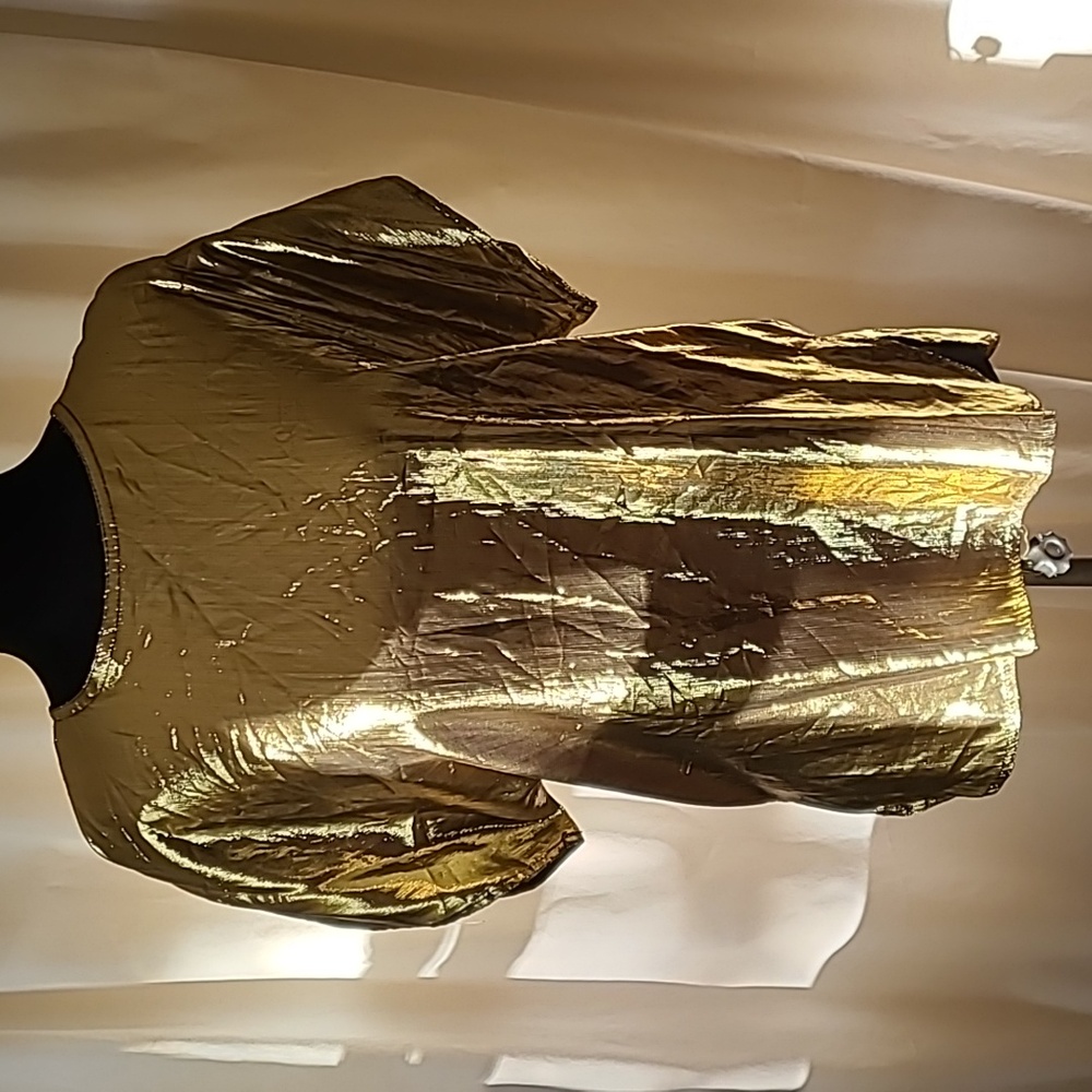 Bari Protas Gold Lamé Short Sleeve Blouse